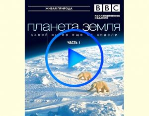 2236856 300x234 - BBC: Планета Земля (Planet Earth) смотреть онлайн